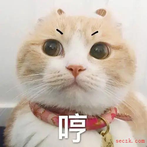 警惕“云养猫”陷阱